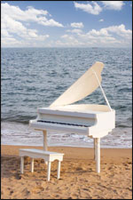 FESTIVAL LES MUSICALES SUR LE SABLE