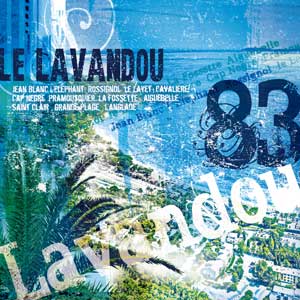Tableau unique Lavandou