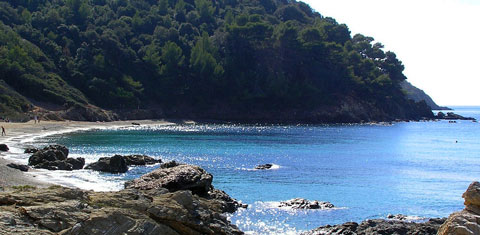 Plage du Brouis. La Croix-Valmer