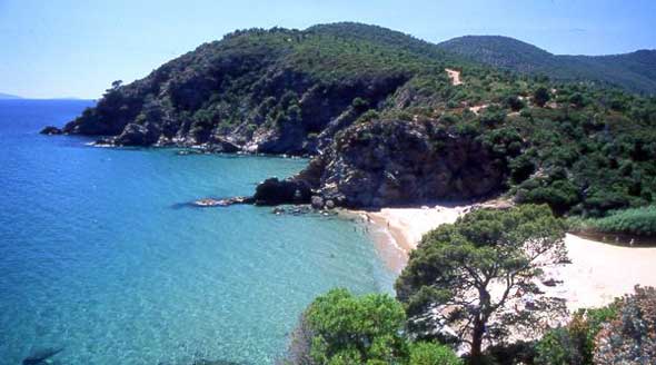 Cavalaire