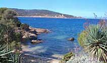Ile du Levant