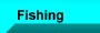Fisching