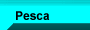 Pesca