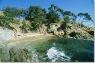 Rossignol. Lavandou