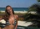 Delphine tours Miami beach