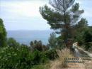 Ambiances du Lavandou