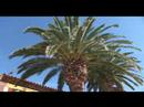 Club de Cavaliere - Hotel Video