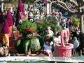 CORSO FLEURI DU LAVANDOU 2009