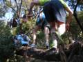 trail des 3 dauphins