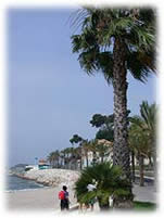 Bandol