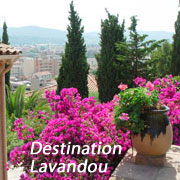 Destination Lavandou