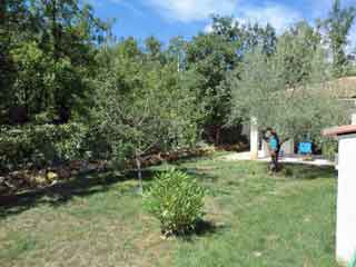 N&eacute;oules dans le Var