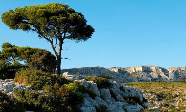 Provence