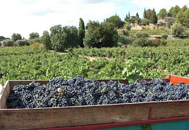 Le Lavandou 