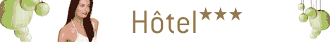 Hotel des Palmiers