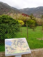 Chemin des Peintres au Lavandou. France