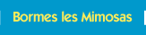 Bormes les Mimosas