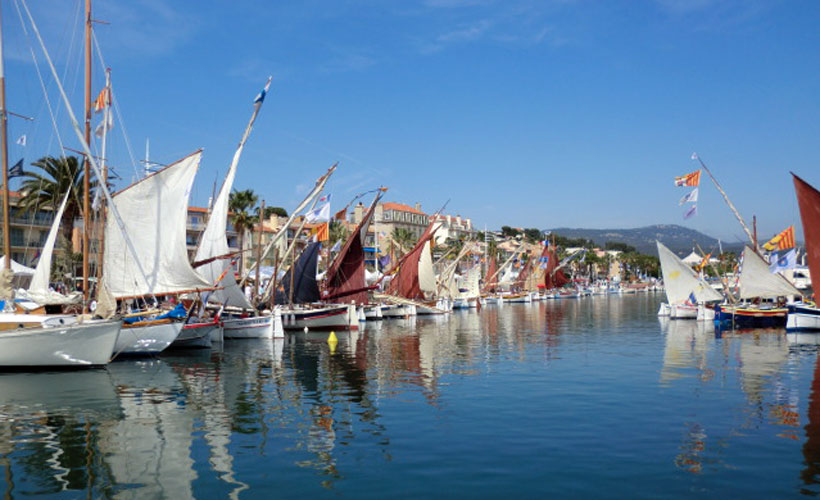 Bandol port