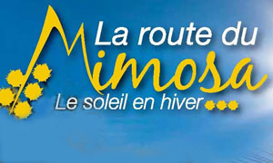 Rout du mimosa