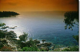 Plage de l'Eléphant. Le Lavandou. France