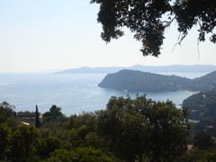 Le Cap Negre. Le Lavandou. France